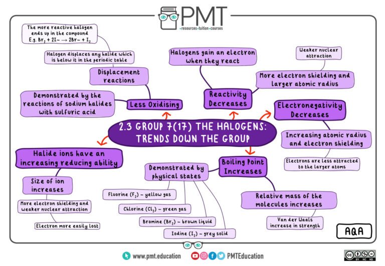 AQA---Inorganic-I---Mind-Maps---2.3.-Group-7(17)-the-Halogens-1